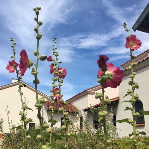 Führung "In the summertime - Freizeitvergnügen in römischer Zeit" 82 summertime