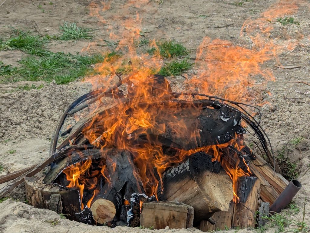 PXL 20260404 131847215