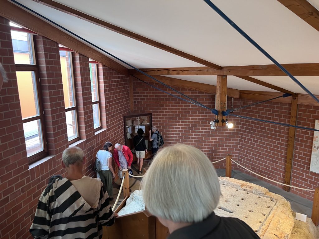 Brennöfen_ToffD 2026 eine Besuchergruppe nähert sich den Fundamenten zweier römischer Brennöfen. andere besucher stehen vor einer Vitrine mit Funden aus der Römerzeit.